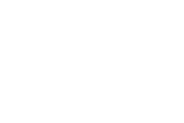 Microsoft NTFS For Mac By Paragon Software 